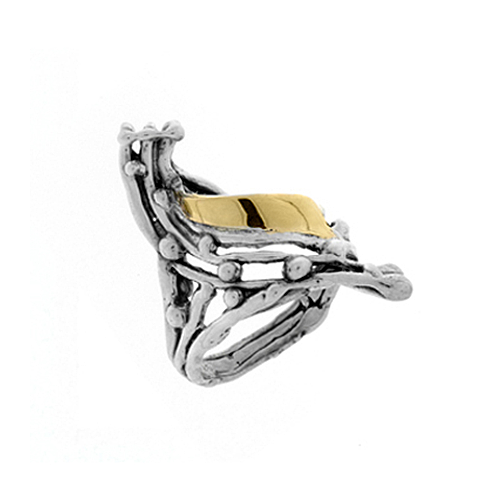 Silver and Gold Ring