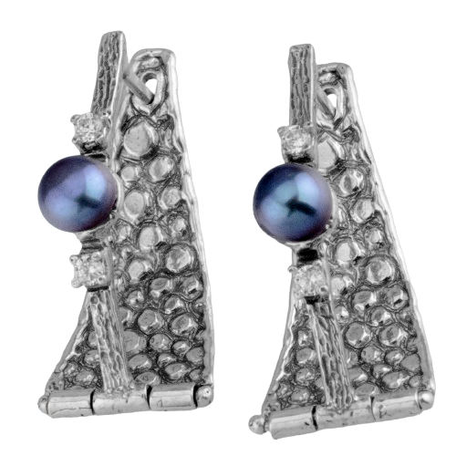 Silver Earrings