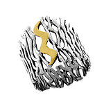 Silver and Gold Ring