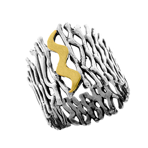 Silver and Gold Ring