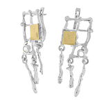 Silver and Gold Earrings