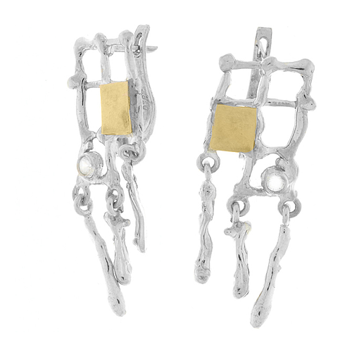 Silver and Gold Earrings