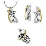 Silver and Gold Set