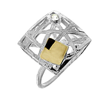 Silver and Gold Ring