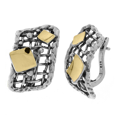 Silver and Gold Earrings