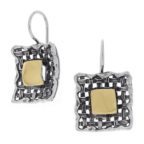 Silver and Gold Earrings