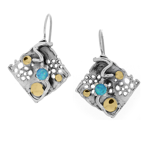 Silver and Gold Earrings