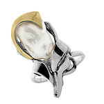 Silver and Gold Ring