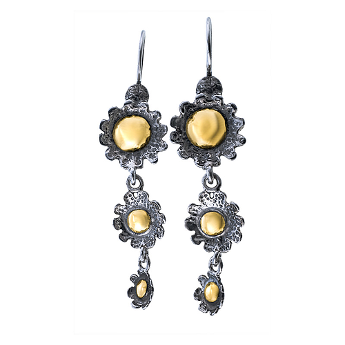 Silver and Gold Earrings