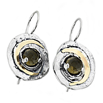 Silver and Gold Earrings