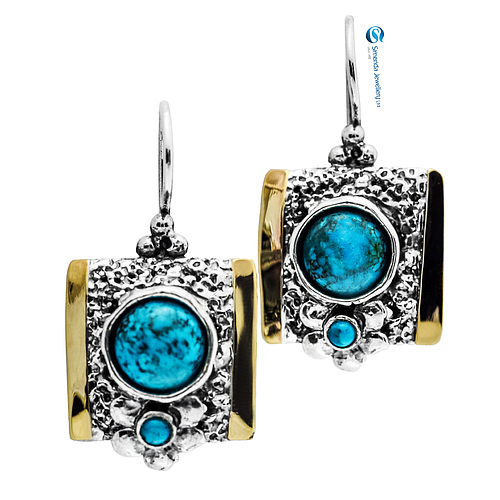Silver and Gold Earrings