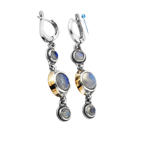 Silver and Gold Earrings