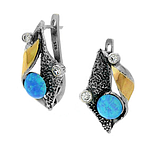 Silver and Gold Earrings