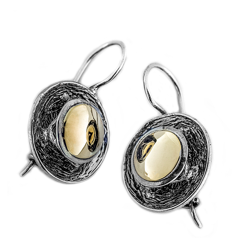 Silver and Gold Earrings