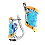 Silver and Gold Earrings