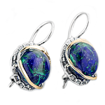Silver and Gold Earrings