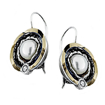 Silver and Gold Earrings