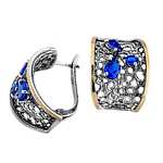 Silver and Gold Earrings