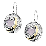 Silver and Gold Earrings
