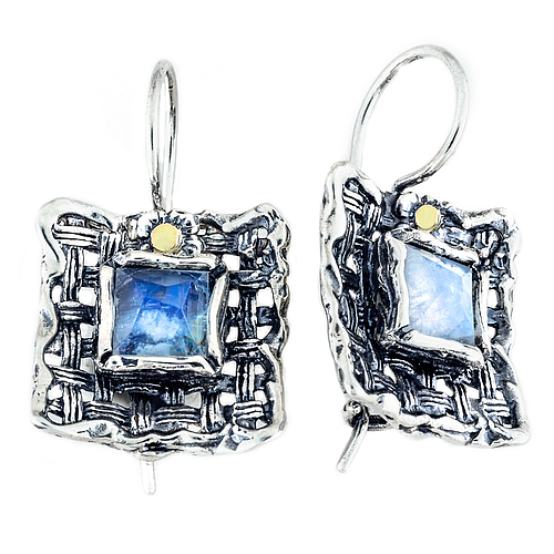 Silver and Gold Earrings