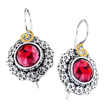 Silver and Gold Earrings