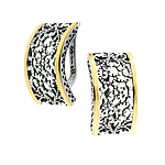 Silver and Gold Earrings