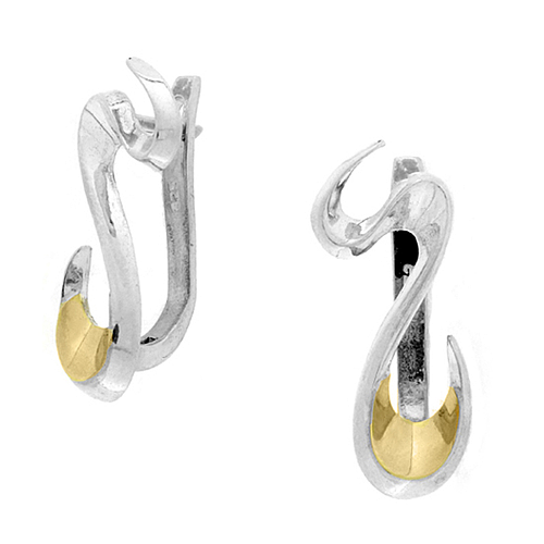 Silver and Gold Earrings