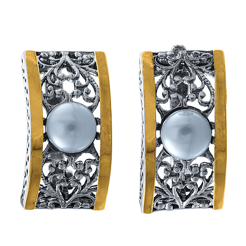 Silver and Gold Earrings