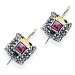 Silver and Gold Earrings