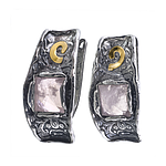 Silver and Gold Earrings