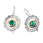 Silver and Gold Earrings
