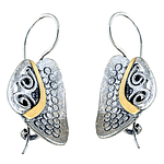 Silver and Gold Earrings