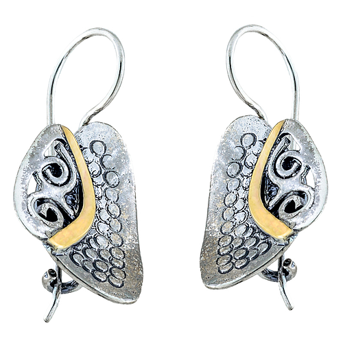 Silver and Gold Earrings