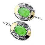 Silver and Gold Earrings