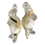 Silver and Gold Earrings