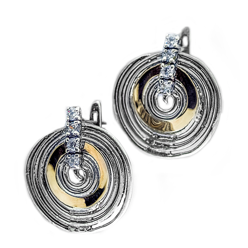 Silver and Gold Earrings