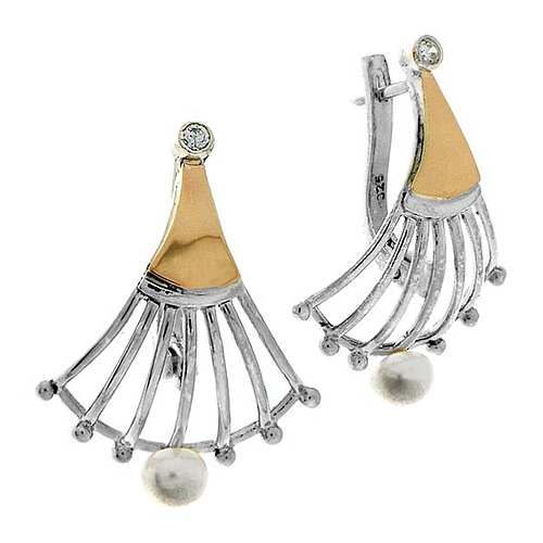 Silver and Gold Earrings