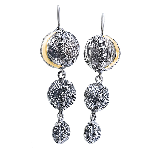 Silver and Gold Earrings