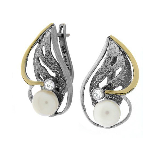 Silver and Gold Earrings