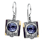 Silver and Gold Earrings