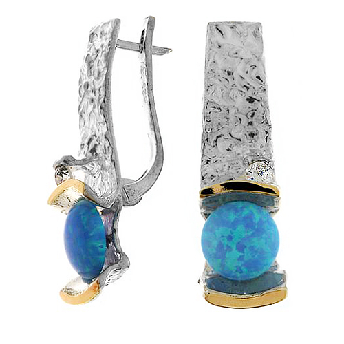 Silver and Gold Earrings