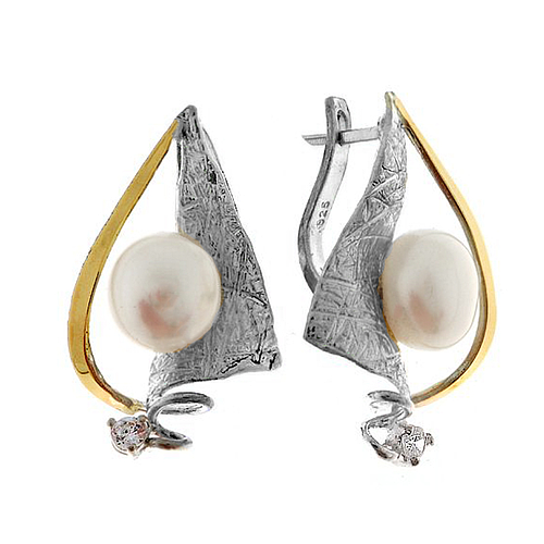 Silver and Gold Earrings