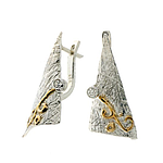 Silver and Gold Earrings
