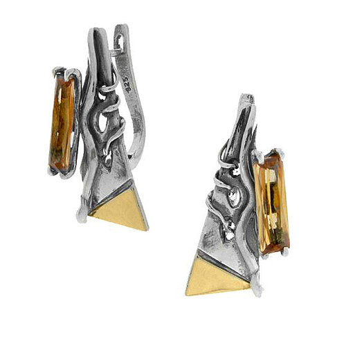 Silver and Gold Earrings