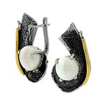 Silver and Gold Earrings