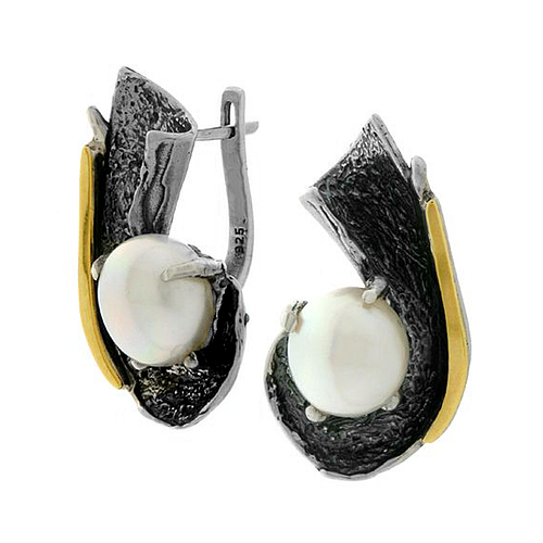 Silver and Gold Earrings