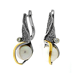 Silver and Gold Earrings