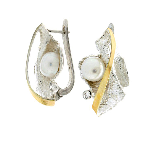 Silver and Gold Earrings