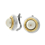 Silver and Gold Earrings