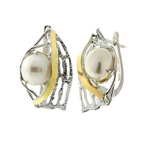 Silver and Gold Earrings